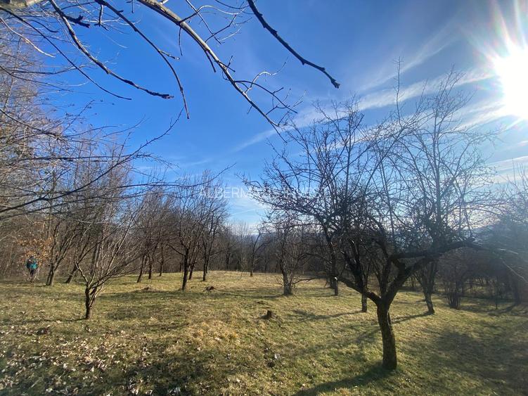 Teren de vanzare 1.622 mp Cornu de sus - 2