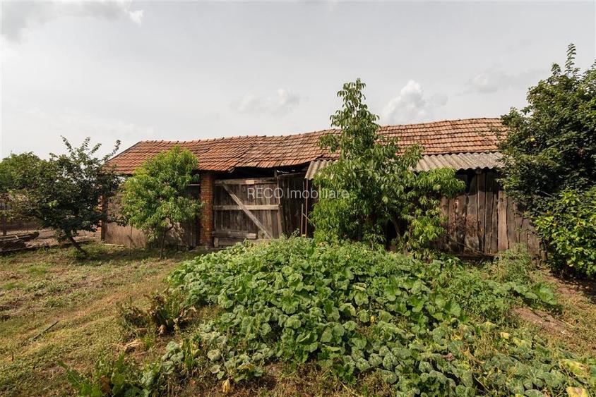 Teren mare cu 2 case si front la 2 strazi in Tamaseu - 33