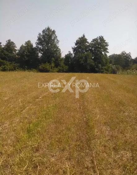 5000 mp teren + casa vacanta in Bascov - 3