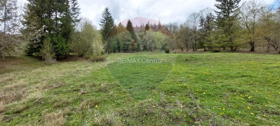 Poienita 2800mp, Covasna, zona hotel Clermont, inconjurat de padure - 17