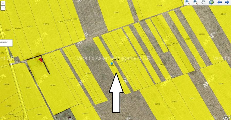 Vanzare teren intravilan 5000mp Ploiesti Vest, centura ocolitoare de Vest - DN1 - 4