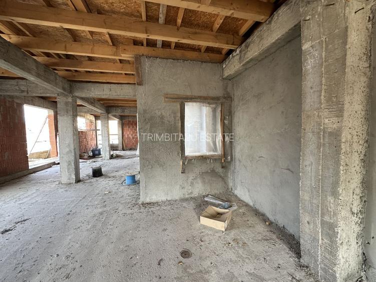 FERDINAND - Lirei | Teren 412 mp| Cladire 750 mp | structura noua - 22