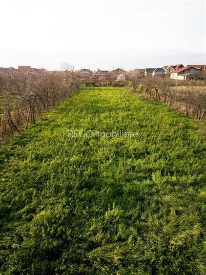 RECO Teren in nojorid - 9