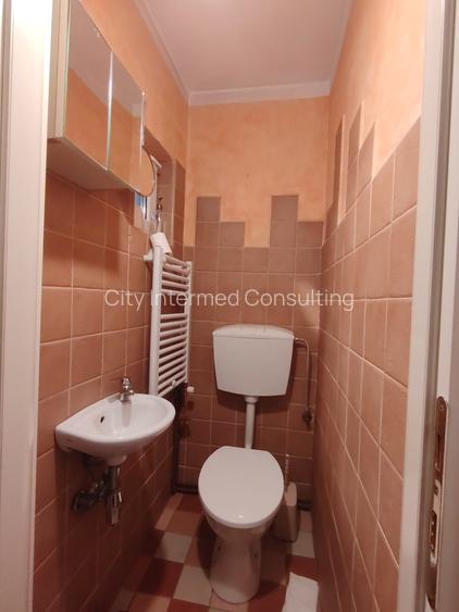 Vila desebita-POPA NAN- O oaza de liniste si verdeata in centrul orasului. - 10