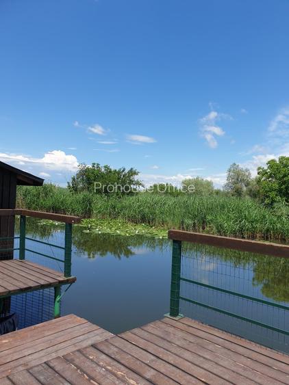 Dimineți pe ponton, seri la piscină – viața la Snagov - 3