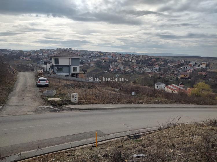 Teren intravilan 479mp in Dezmir - 9