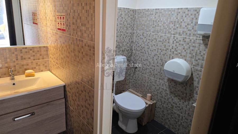 Dorobanti | Vila Individuala | 7 camere | Terasa - 17