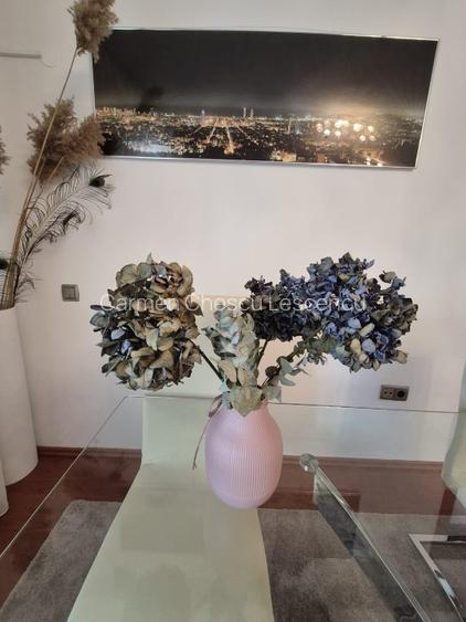 Inchiriez apartament 3 camere - 11