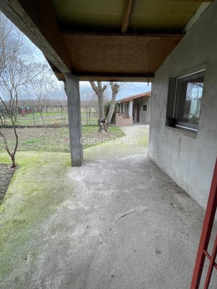 Casa de vanzare in localitatea Pustinis - 14