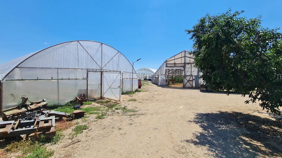 Afacere la cheie! Incasari din prima zi!!! - 8