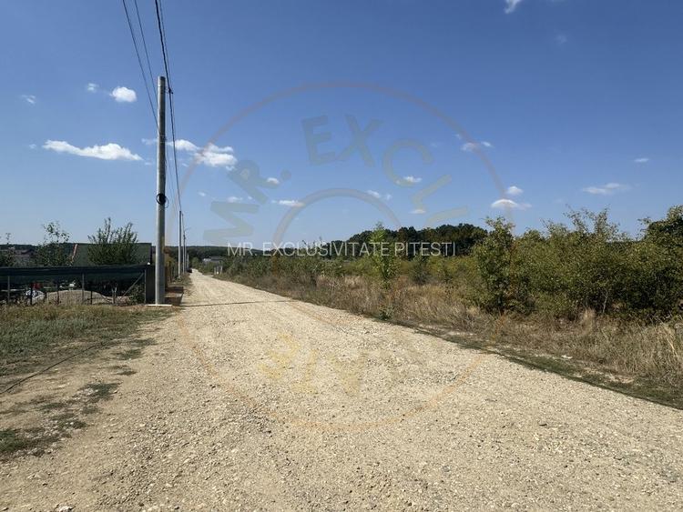 Teren Intravilan Magic Trivale - Aleea Bradului  1040 mp - 3