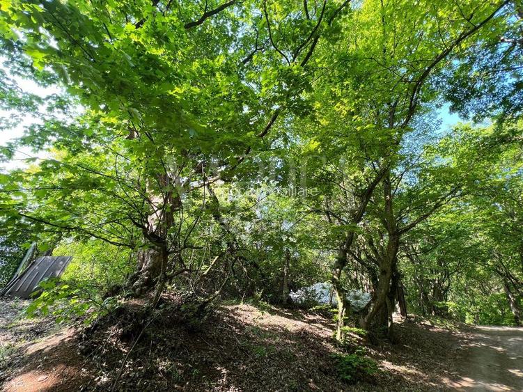 Teren intravilan Constructii de vanzare in Grigorescu, Cluj Napoca - 9