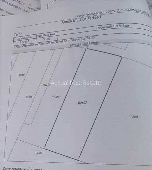 TEREN Intravilan 5000mp  |  COSTINESTI  |  ZONA HANUL LUI DARIE - 8