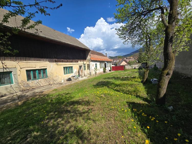 Vand casa veche de renovat cu teren 1775mp in Baciu - 4