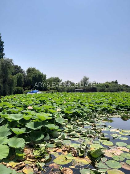 Refugiu Premium în Snagov Sat: Vilă cu 5 Dormitoare și Grădină de Poveste - 4