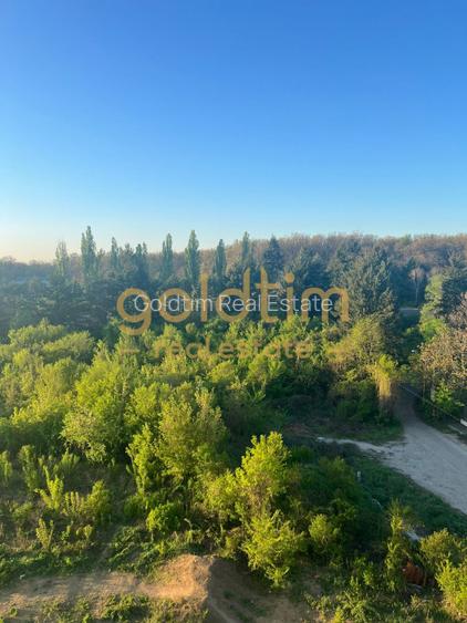 SUPERB/VEDERE PADURE/PARCARE SUBTERANA/2 BAI - 3