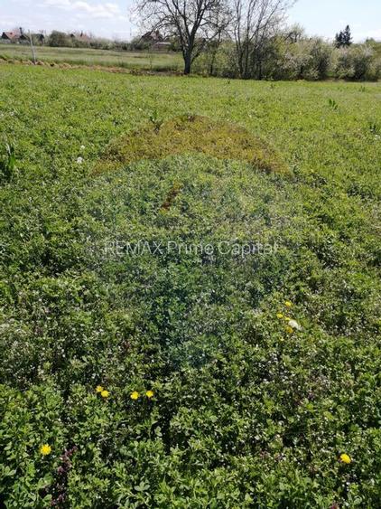 De vânzare teren intravilan, 6574 mp în Leș - 5