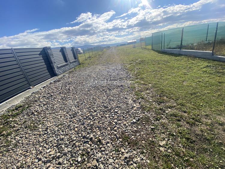 Teren Intravilan 1000 mp Bicfalau - 5