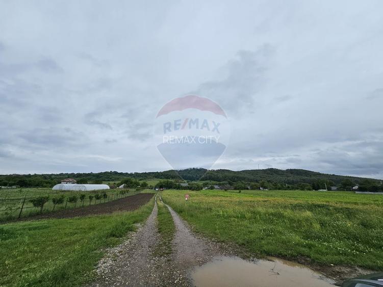 Teren 1,495mp Dobreni / Strada Parau Almas - 7