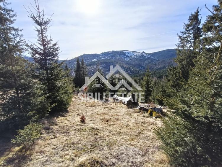 Teren de vânzare în zona montană a județului Alba - 4