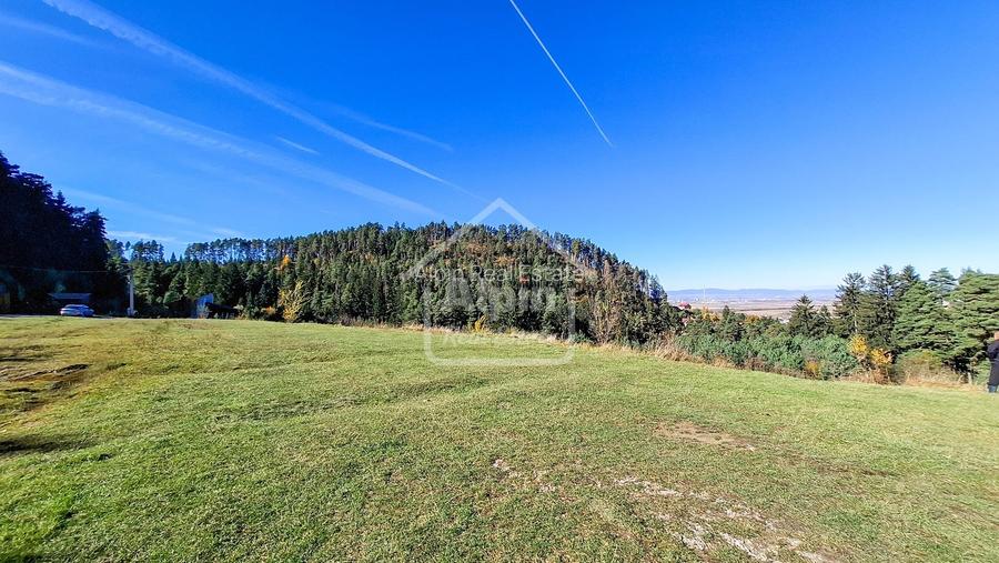 Teren Intavilan I Poiana Angelescu Sacele - 7