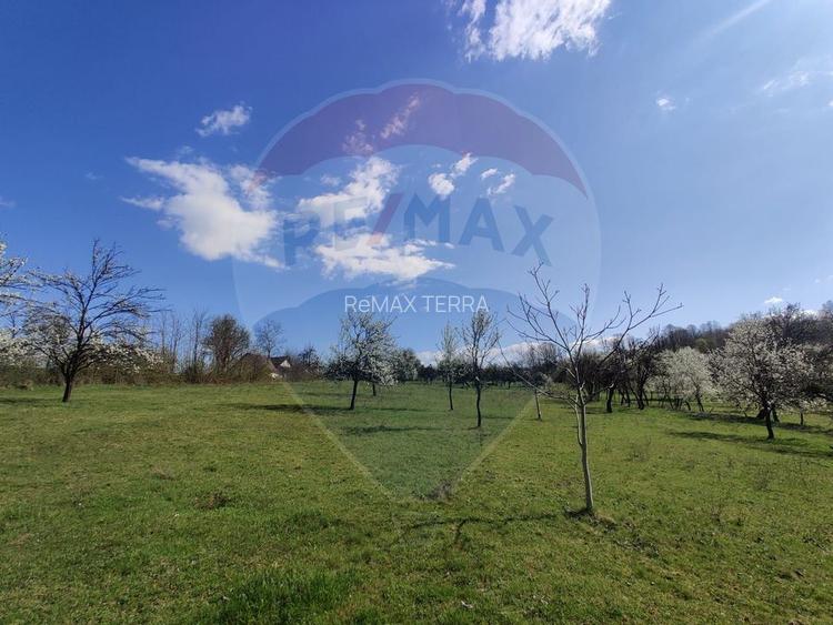 Teren intravilan pentru casă Cărbunari - 3