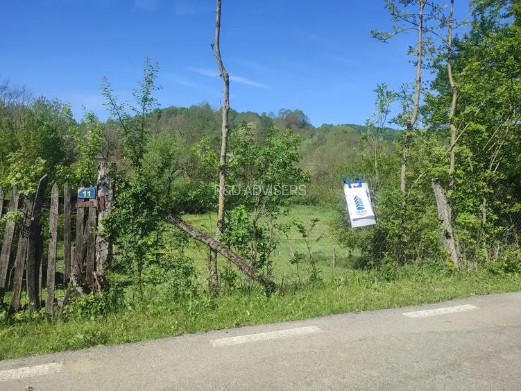 TEREN INTRAVILAN | VISINESTI | DEALURILE SULTANULUI - 2