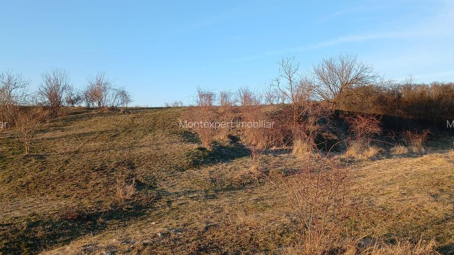 Teren 12.300 mp de vânzare Hărman – Podu Oltului, Brașov | 15 €/mp | Investiție - 5