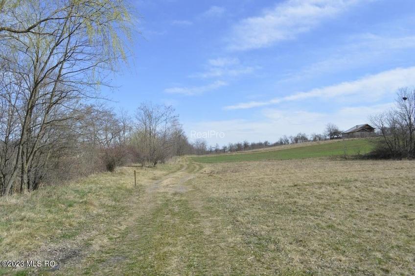 Suseni - Teren intravilan rezidential, suprafata 4000 mp! - 8