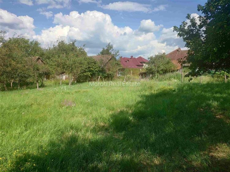 Casa P+M cu teren generos si loturi suplimentare in Baia de Cris - 19