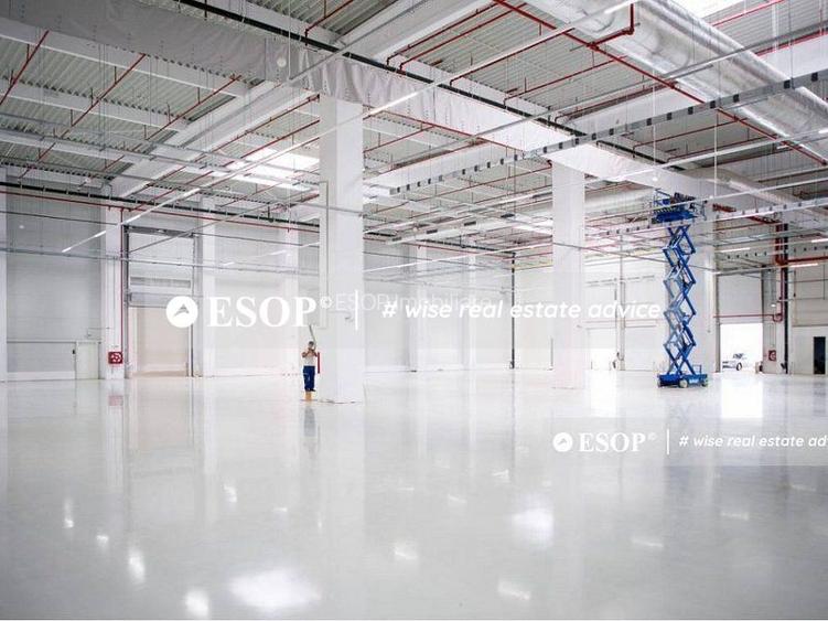 CTPark Pitesti, hale productie, depozitare, logistica, 1150 - 12095mp - 3