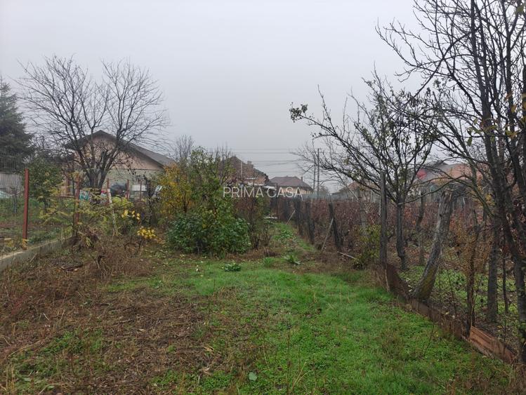 Teren intravilan 12.511 mp | Potoceni – Mărăcineni | Ideal pentru dezvoltare rez - 7