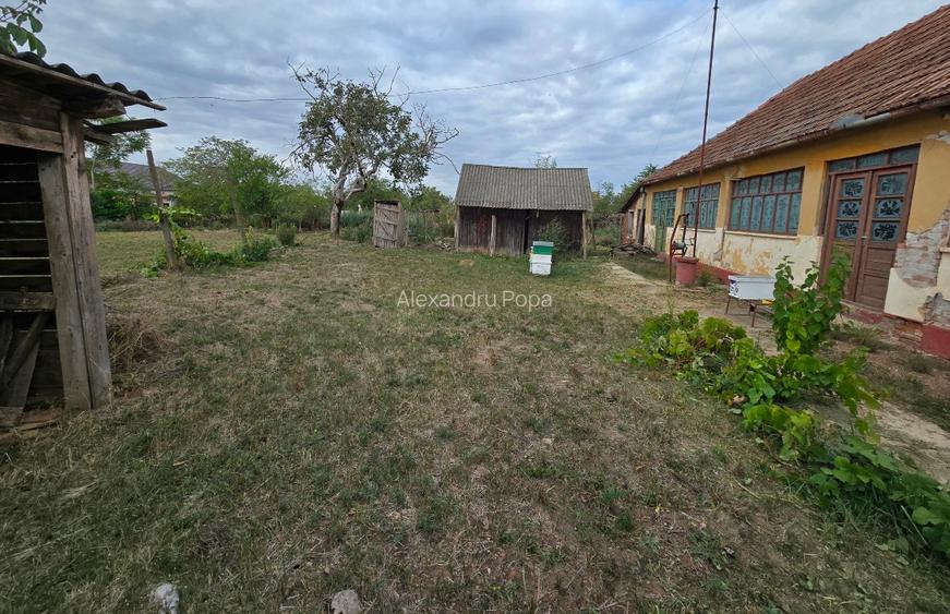 Casa individuala cu teren generos în zona liniștită - 5