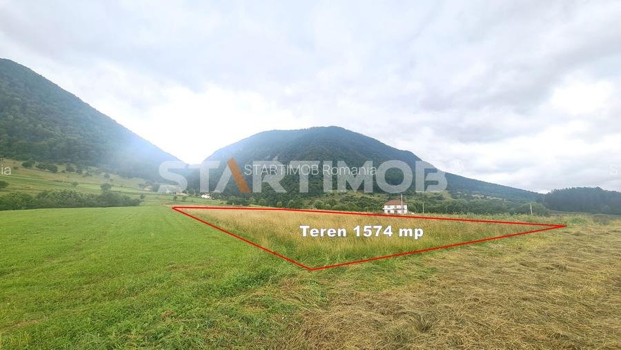 Teren intravilan Zarnesti - 9