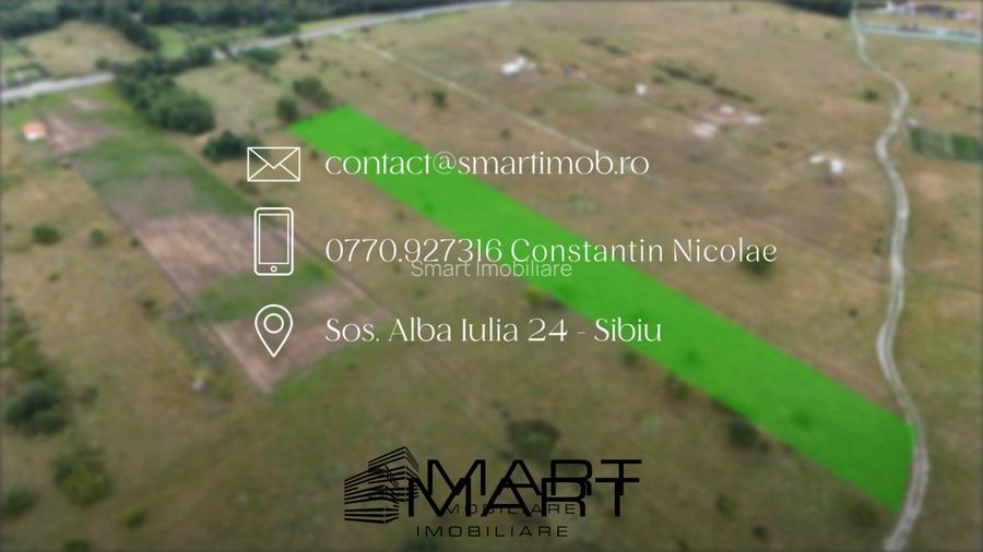 Teren intravilan 5000mp Valea Avrigului - 7