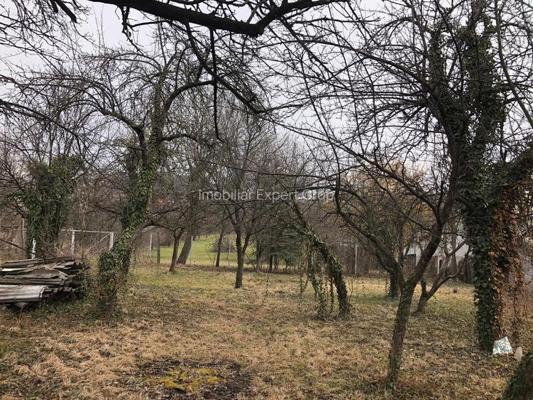 Teren intravilan Breaza oportunitate investitie - 5