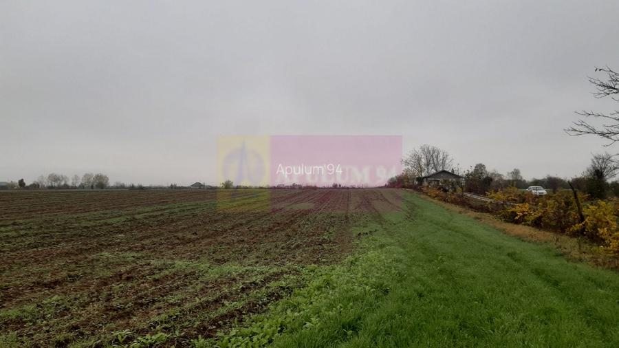 Teren Investiție aproape de București - 7