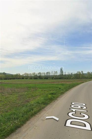 RECO Teren extravilan in Dragesti spre Stracos 7219mp - 2