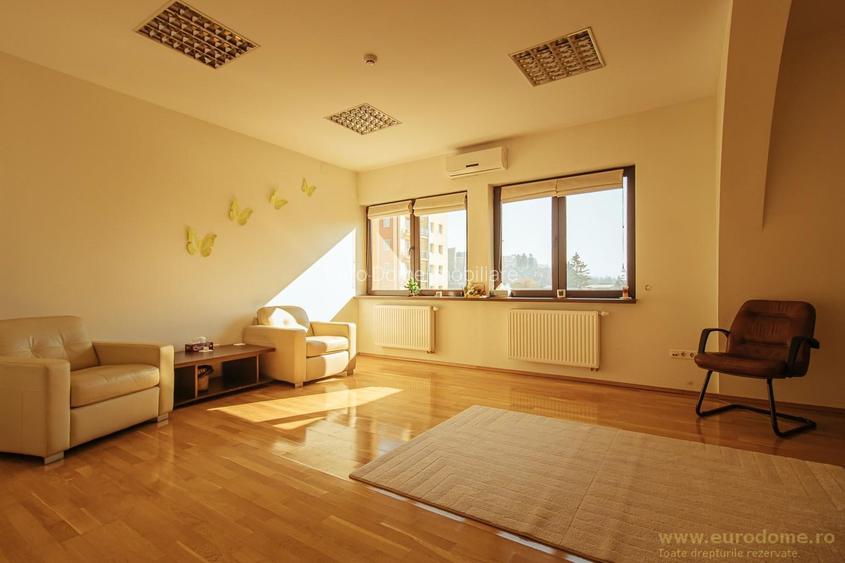 Inchiriere Spatiu exclusivist, vedere panoramică, luminos - 12