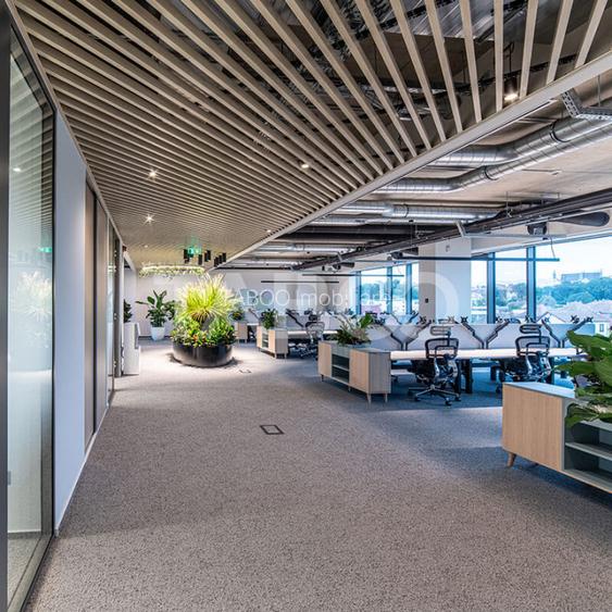 Birouri premium in Sibiu–Spatii flexibile moderne pentru companii - 11