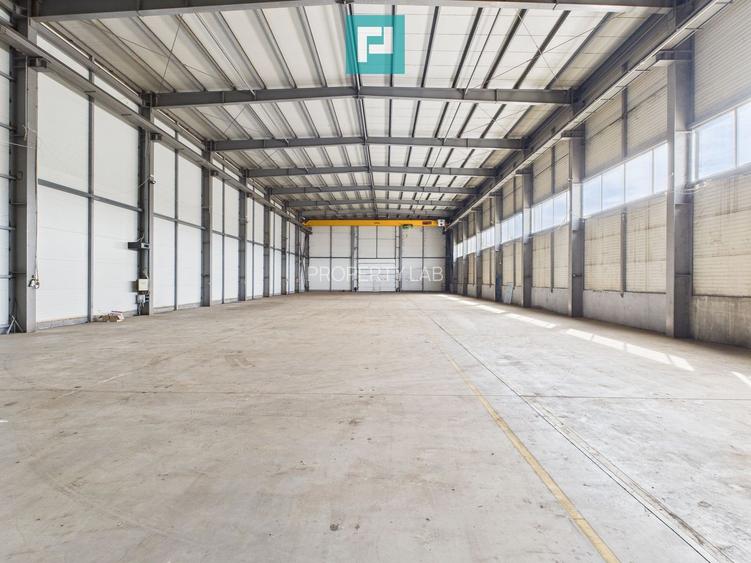 Hală industrială cu pod rulant de 3 tone în Arad - 11