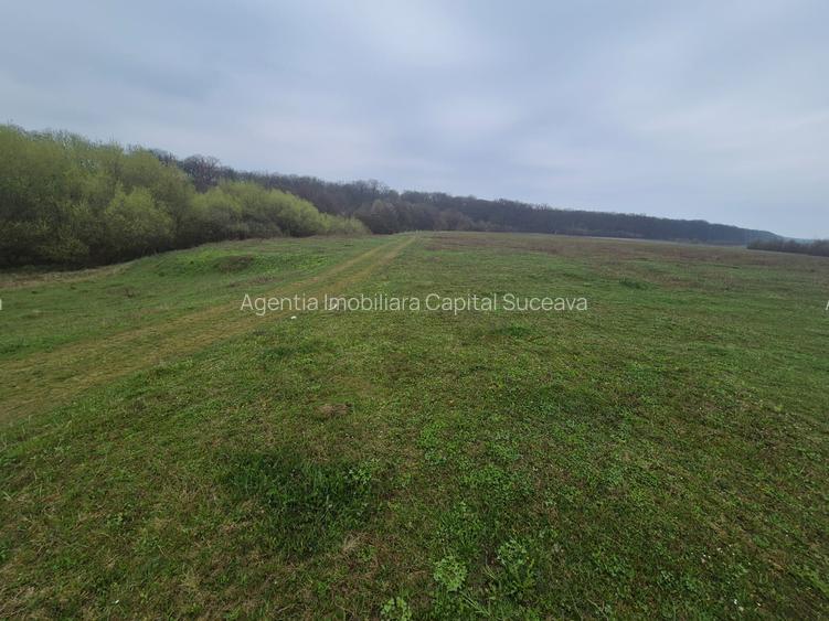 Teren Mitoc-Lipoveni de vânzare - 2