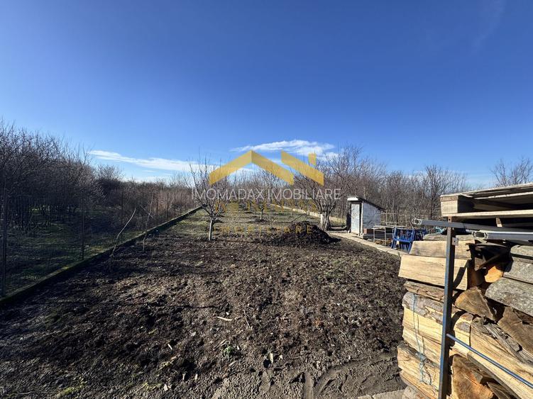 Beregsau Mare-Casa Individuala-Renovata Complet - 20