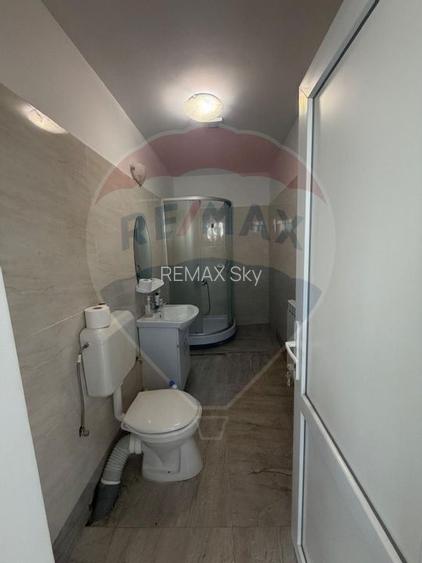 Casă + anexă cu terasă și grătar – 750 mp teren, Pricaz - 10