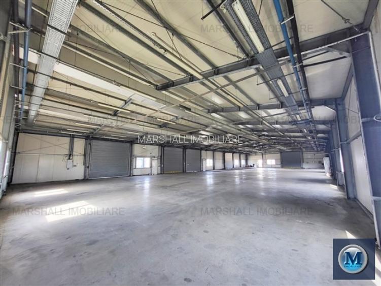 Spatiu industrial de inchiriat, zona Exterior Vest, 1026 mp #16461 - 3