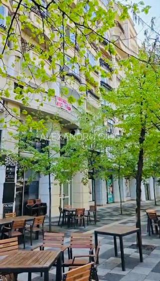 Bd Decebal nr 2/Rond Alba Iulia  - 3