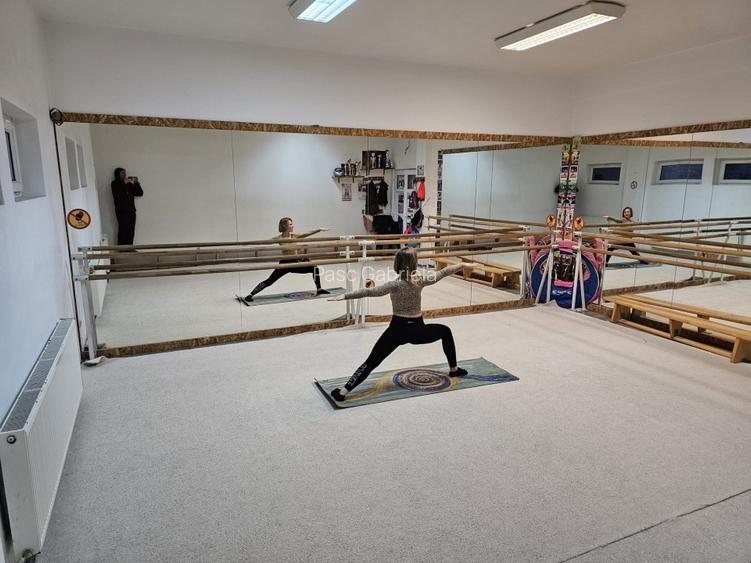 Dau spre inchiriere imobil D.P+2 (1350mp+curte +2 ap) posib schimb destinatie  - 5