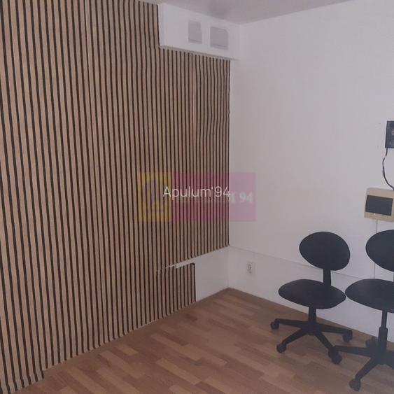 Spatiu Comercial Stradal Șoseaua Colentina zona Teiul Doamnei Suveica - 55