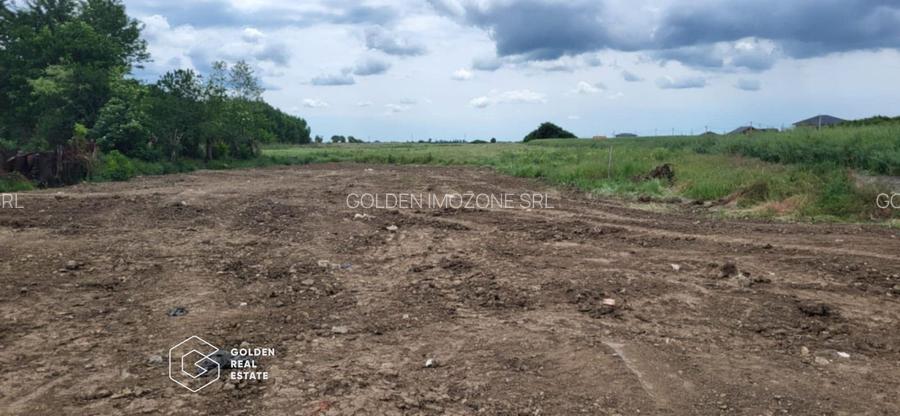 Teren intravilan curti constructii, Sacalaz, Timis - 2