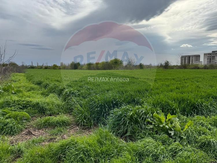 Teren cu PUZ aprobat –  Destinație logistică, industrială și servicii - 17